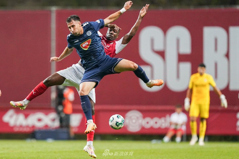 安排带来了 安排带来了